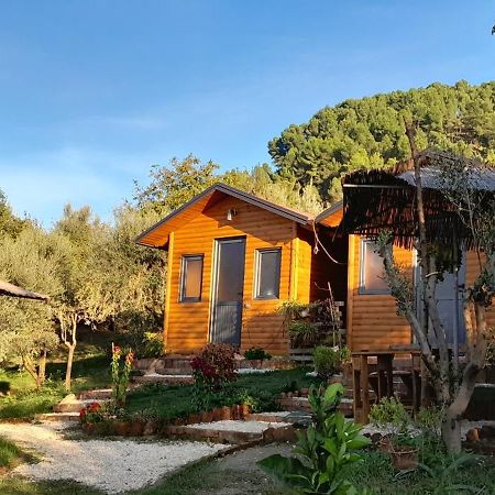 Bujtina Musta Berat Exterior foto